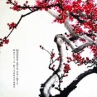 nfs-c01-h07-mnt-36755-domains-harriseisenstadt-com-html-wp-content-files_mf-cache-c7a725b0fe12f4e8db993154f90aead6_nblp1816